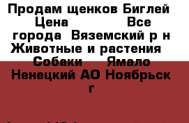 Продам щенков Биглей › Цена ­ 15 000 - Все города, Вяземский р-н Животные и растения » Собаки   . Ямало-Ненецкий АО,Ноябрьск г.